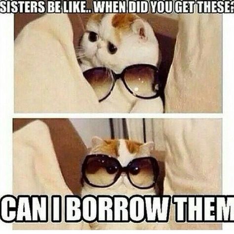 my sister Sister Memes Funny, Growing Up With Siblings, Sibling Pictures, Siblings Funny, Love Memes Funny, House Funny, Dungeons And Dragons Memes, Sisters Forever, Sisters Funny