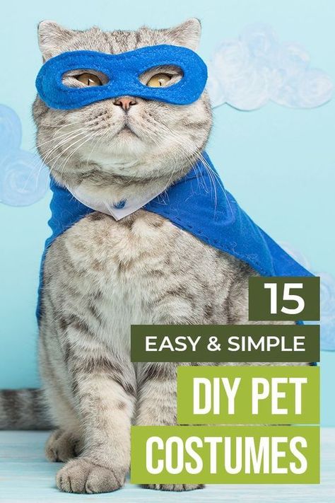 Quality-made dog clothes can be practical, but for fun events like Halloween, these easy DIY pet costumes for dogs are sure to please but simple enough that anyone could pull them off Easy Pet Costumes, Diy Pet Costumes Dogs, Diy Cat Costume, Beanie Baby Costumes, Cat Halloween Costume Pet, Diy Pet Costumes, Pet Costumes For Dogs, Costumes For Dogs, Cat Costume Diy