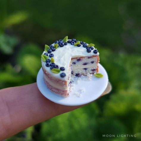 Variations on a theme, miniature polymer clay blueberry and lemon cakes. . . . . . . . #polymerclayfood #polymerclay #blueberries #lemons #blueberryandlemon #miniaturefood #112thscalefood Clay Blueberry, Polymer Clay People, Lemon Cakes, Miniture Food, Clay Cake, Miniature Polymer Clay, Polymer Clay Miniature, Polymer Clay Cake, Clay People