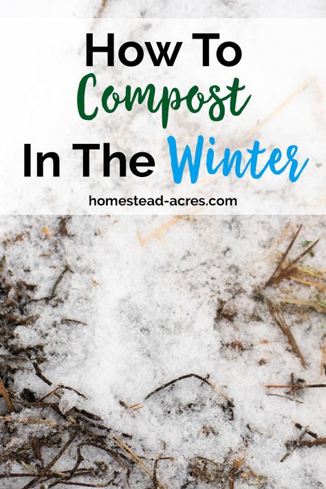 Compost Ideas, Compost Barrel, Apartment Composting, Composting For Beginners, Composting Ideas, Make Compost, Compost Bin Diy, How To Compost, Diy Compost