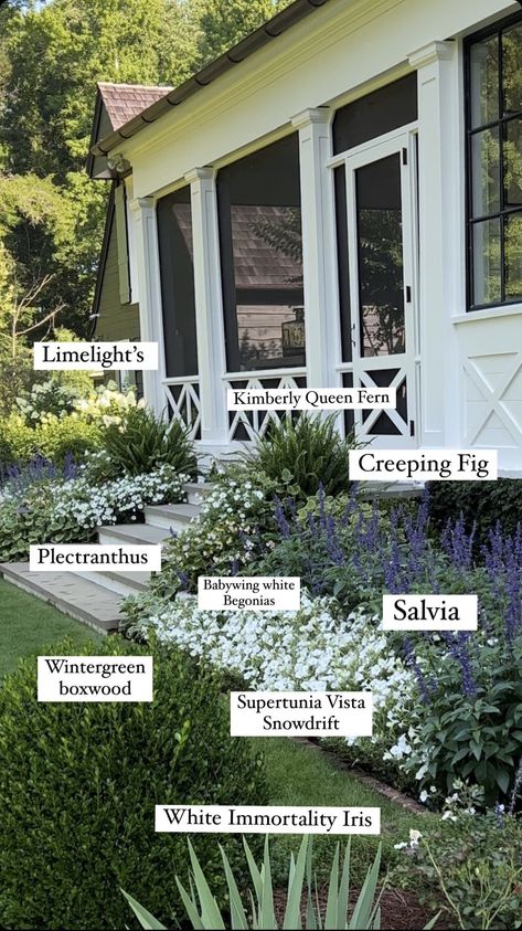 Under Window Landscaping Backyards, European Landscaping Front Yard, Yard Ideas Diy, Yard Ideas Cheap, Yard Ideas Backyard, Ideas For Dogs, Front Yard Garden Design, Front Landscaping, Casa Exterior