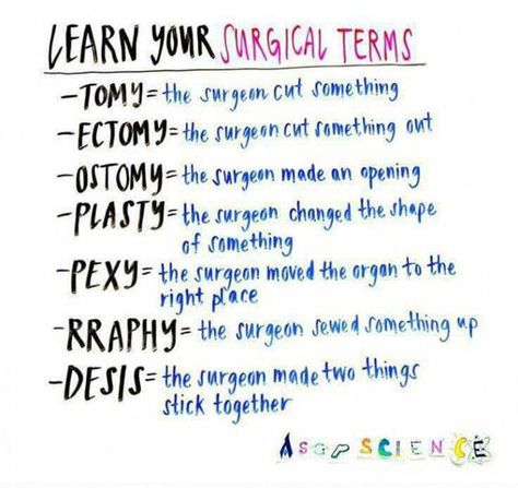 surgical terms by @73isthebestPRIMEnumber Anatomi Dan Fisiologi, Medical Terminology Study, Study Medicine, Vet Medicine, Medical Student Study, Nursing School Survival, Medical Billing And Coding, Nursing School Studying, Nursing School Tips