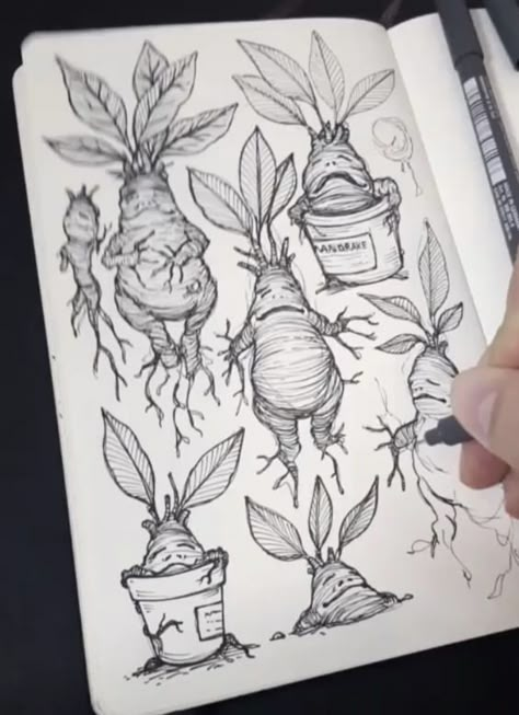 Harry Potter Mandrake, Harry Potter Tattoo Sleeve, Nature Tattoo Ideas, Harry Tattoos, Hp Tattoo, American Traditional Tattoo Ideas, Bookish Tattoos, Harry Potter Art Drawings, Traditional Tattoo Ideas