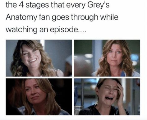 Anatomy Memes, Greys Anatomy Facts, Greys Anatomy Episodes, Funny Boyfriend Memes, Greys Anatomy Funny, Jessica Capshaw, Greys Anatomy Characters, Lexie Grey, Greys Anatomy Memes