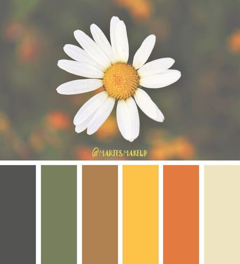 Oxeye Daisy Color Palette Chamomile Color Palette, Daisy Colour Palette, Sunflower Colour Palette, Daisy Color Palette, Coffee Shop Color Palette, Sunflower Color Palette, Halfling Paladin, Sunflower Palette, Gin Branding