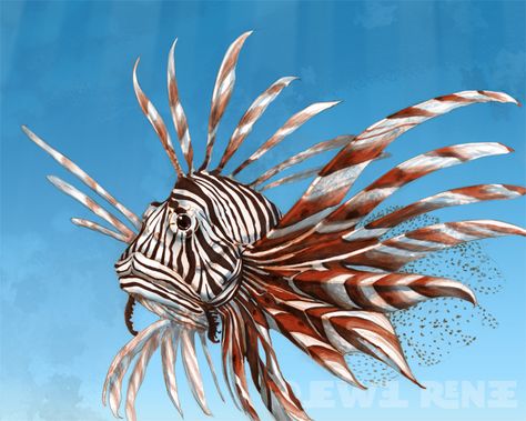 Lionfish Drawing | Email This BlogThis! Share to Twitter Share to Facebook Share to ... Blue Sea Slug, Balloon Fish, Sea Drawing, Fish Artwork, Ocean Tattoos, Shallow Water, Lion Fish, Beautiful Sea Creatures, Sea Slug