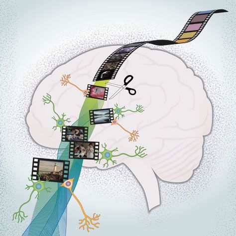 Researchers uncover how the human brain separates, stores, and retrieves memories | National Institute of Neurological Disorders and Stroke Episodic Memory, Deep Brain Stimulation, Brain System, Memory Test, Biomedical Science, The Human Brain, Brain Cells, Integrative Health, Neurological Disorders