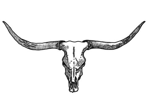 Steer Skull Tattoo, Longhorn Skull Drawing, Longhorn Svg, Longhorn Tattoo, Cow Skull Tattoos, Bull Skull Tattoos, Cowgirl Tattoos, Cowboy Tattoos, Longhorn Skull