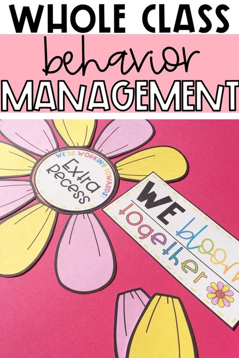 Whole Group Behavior Management, Behavior Management System Kindergarten, Kindergarten Behavior Management Ideas, Whole Group Classroom Management, Classroom Behavior System, Whole Class Reward System, Behavior Management In The Classroom, Individual Behavior Management, Preschool Behavior Management