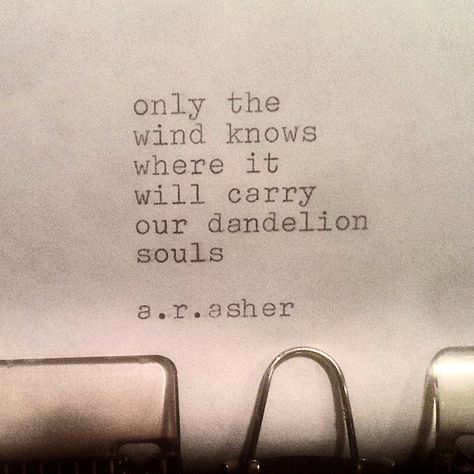 Only the wind knows where it will carry our dandelion souls.. Quotable Quotes, Poetry Quotes, Typewriter, Pretty Words, Beautiful Quotes, The Words, Great Quotes, Beautiful Words, The Wind