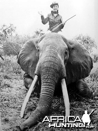 Elephant Hunting Safari - My Photo Gallery People With Umbrellas, Riding Elephants, Life Magazine Photos, All About Elephants, Hunting Pictures, Elephants Never Forget, Vintage Safari, Trophy Hunting, Under My Umbrella