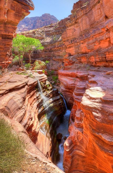 Deer Creek Canyon In Grand Canyon Beautiful Places In America, American States, Deer Creek, Places In America, Nice Places, Have Inspiration, Red Rocks, Grand Canyon National Park, The Grand Canyon