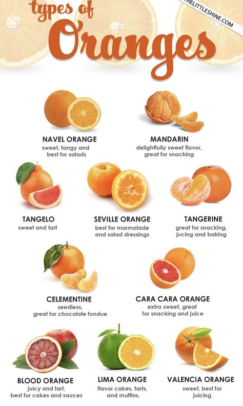 Fruits And Vegetables List, Vegetables List, Types Of Oranges, Fruit Health, Fruit List, Amazing Food Hacks, Food Knowledge, Food Infographic, Food Health Benefits