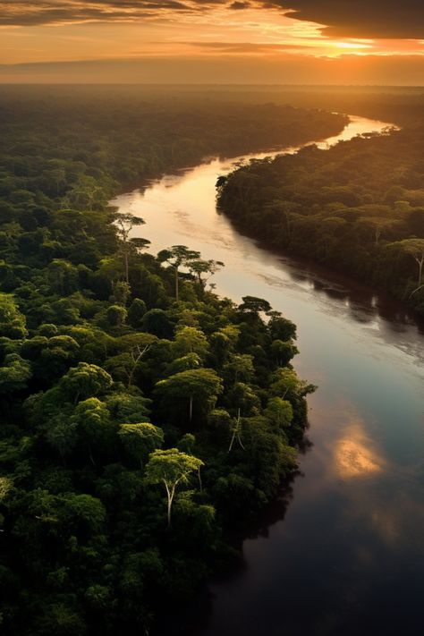 The Amazon River, boasting the planet's highest discharge and ranking among the world's longest rivers, meanders across South America for roughly 4,000 miles. Its source lies within the Andes Mountains, and it eventually converges with the Atlantic Ocean. Encompassing a colossal basin spanning nine countries, this remarkable region houses an incredible array of plant and animal species, with a significant portion of them being exclusive to this unique ecosystem. Ancient South America, South America Landscape, Amazon River Aesthetic, Amazon Jungle Aesthetic, The Amazon River, South American Landscape, South American Jungle, Amazon Rainforest Aesthetic, Ecosystem Aesthetic