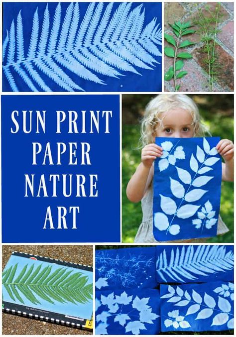 Kids Nature Activities, Art Soleil, Maluchy Montessori, Sun Prints, Nature School, Nature Camping, Sun Art, Nature Kids, Camping Crafts