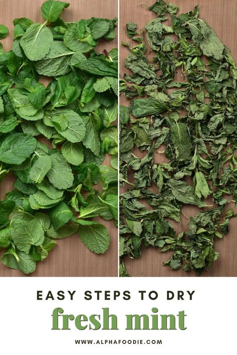 How to dry mint at home with three methods to choose from; oven-drying, dehydrator, or air-drying. This post also includes mint benefits and how to store, convert, and use dried mint! How To Dry Spearmint Leaves, How To Dry Peppermint Leaves, Drying Mint Leaves For Tea, How To Dry Mint Leaves For Tea, How To Store Mint Leaves, How To Preserve Mint Leaves, Dried Mint Uses, How To Dry Mint Leaves, Herb Farming