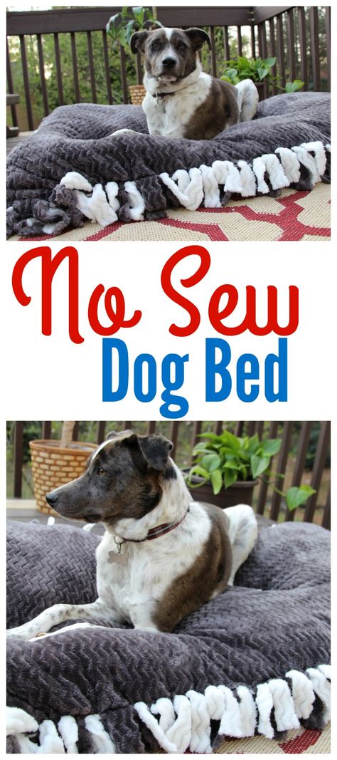 Diy Dog Bed Pillow How To Make, How To Make A Dog Bed Out Of Pillows, Diy Dog Bed No Sew, Diy Dog Bed With Pillows, Easy Dog Bed Diy, Diy Dog Pillow For Large Dogs, Free Dog Bed Pattern, Diy Dog Cushion, Cheap Dog Bed Ideas