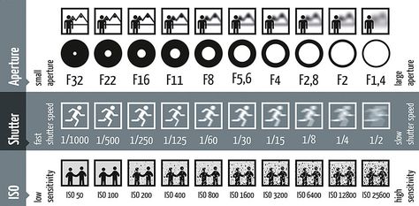 One of the first things you must learn as a new photographer is the relationship between ISO, aperture and shutter speed. Here's a little cheat-sheet to help you remember. Aperture And Shutter Speed, Fast Shutter Speed, Slow Shutter Speed, Photography Cheat Sheets, Photo Techniques, Photography Help, Photography Basics, Foto Tips, Photography 101