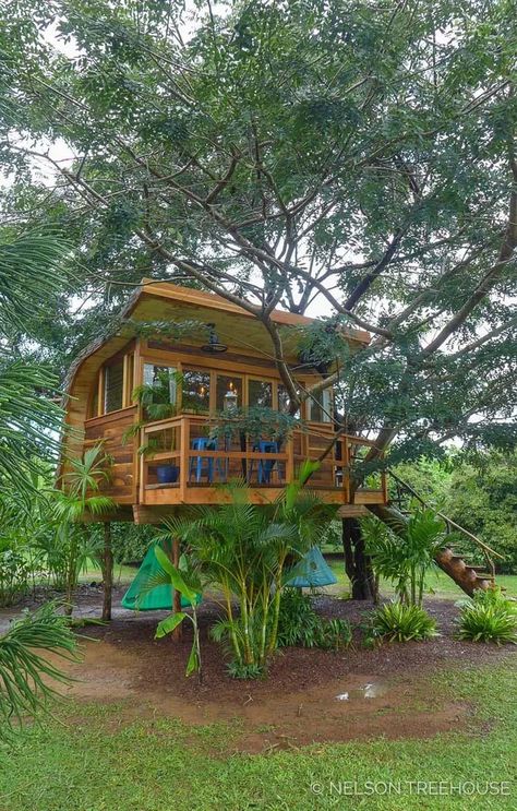 Adult Tree House, Backyard Treehouse, Beautiful Tree Houses, Backyard Tent, Treehouse Masters, Relaxing Decor, Tree House Plans, Tree House Diy, Backyard House