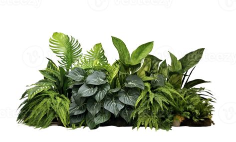 AI Generated Bushes consisting of various types of plants and wild leaves are arranged together against a transparent background. Plants For Photoshop, Tanaman Png, Vegetation Png, Tropical Bushes, Plants Photoshop, Png Plants, Wild Leaves, Plants Background, Photoshop Landscape