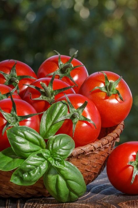 Pasta recipe with fresh tomatoes – a quick and delicious dinner that will always save the day.Do you want to prepare a simple and tasty first course, in a short time, with few ingredients that is suitable for the whole family?If yes, then this quick pasta is just for you.Cherry tomatoes are a staple ingredient in Italian culture.They are cheap, versatile and add some amazing flavors to most dishes.And this pasta recipe is no different.Pasta with fresh cherry tomatoes is a tasty recipe… Tomato Photography, Shaped Cookies Recipe, Recipe With Fresh Tomatoes, Different Pasta, Orange Ginger Chicken, Italian Appetizers Easy, Italian Tomatoes, Tomato Fruit, Fresh Tomato Pasta