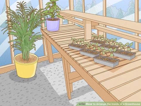 Greenhouse Shelves Ideas, Ideas For Inside Greenhouses, Greenhouse Sheving, Greenhouse Inside Layout, Greenhouse Tables Shelves, 6x6 Greenhouse Layout, Green House Design Interior, Inside Of A Greenhouse, Greenhouse Setup Ideas