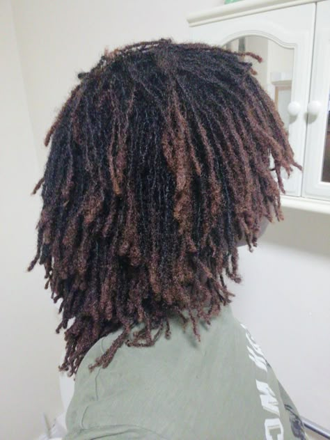 Freeform Microlocs, Locs Growth Journey, Tiny Dreadlocks, Microlocs Grid, Tiny Locs, Micro Starter Locs, Loc Ideas, Male Haircuts Curly, Twa Hairstyles