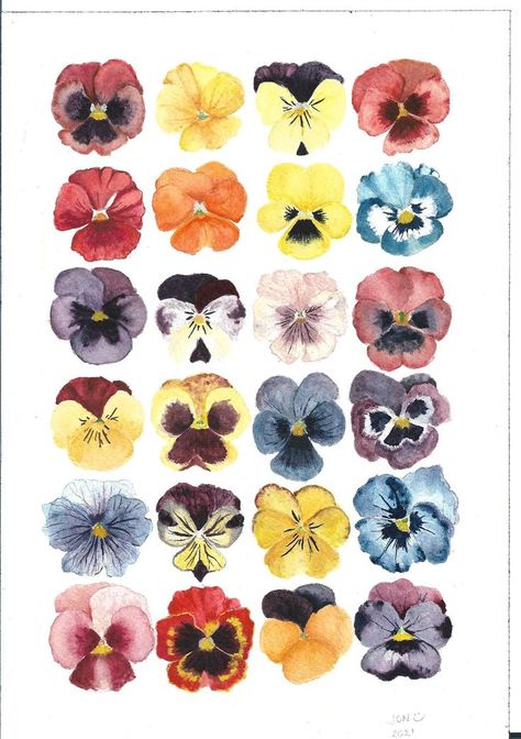 Pansy Flower Painting, Pansy Drawings, Pansy Watercolor Paintings, Watercolor Floral Design, Pansy Flower Aesthetic, Flowers Drawing Watercolor, Watercolor Painting Aesthetic, Pansies Watercolor, Pansies Painting