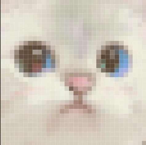 Hama Art, Easy Pixel Art, Pixel Drawing, Pixel Art Grid, Silly Cats Pictures, Pixel Art Design, Silly Cats, Cat Pics, Animal Drawings