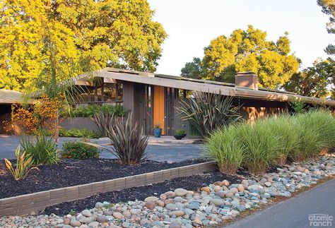 Modern Walkway, Mid Century Modern Landscaping, Mid Century Landscaping, Mid Century Modern Ranch, Mid Century Landscape, Curb Appeal Landscape, Mid Century Modern Exterior, Landscape Curbing, Mid Century Exterior