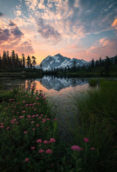 [Earth] A smoky sunrise over wildflowers at Picture Lake, WA (OC) Image Nature, Pretty Landscapes, Beautiful Nature Wallpaper, Mountain Lake, Alam Yang Indah, Nature Aesthetic, Pretty Places, Landscape Photographers, Nature Wallpaper