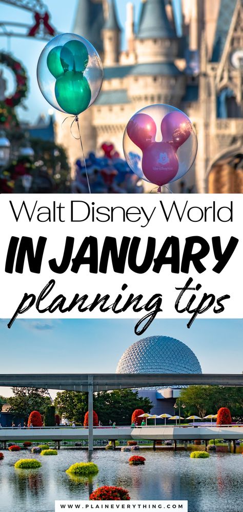 Walt Disney World In January Planning Tips Disney World 3 Day Itinerary, Things You Need For Disney World, Disney Magic Kingdom Tips, Disney World Things To Do, New Years At Disney World, Walt Disney World Trip Planning, Disney World Tips And Tricks For Adults, Disney World Pregnant, Disney Preparation Tips