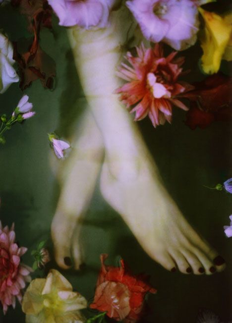 dreaming Bloom Magazine, Sarah Moon, Robert Frank, Surrounded By Flowers, Moon Photography, French Photographers, Water Lilies, In Water, Flower Power