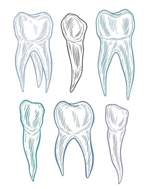 Dental Hygiene Tattoo, How To Draw A Tooth, Tooth Drawing Sketches, Dental Sketches, Teeth Doodle, Tooth Doodle, Teeth Drawings, Dentist Drawing, Teeth Background