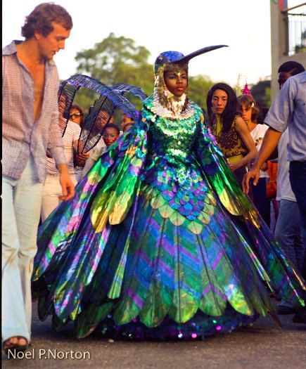 Peter Minshall and His sister Sherry Ann Guy.....this costume changed the face of carnival in Trinidad forever. Hummingbird Costume, Trinidad Carnival, Bird Costume, Caribbean Carnival, Port Of Spain, Mardi Gras Costumes, Fantasy Costumes, Carnival Costumes, Borderlands