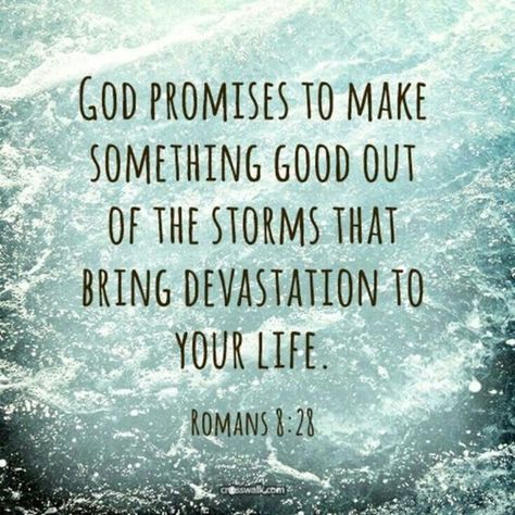 10 Impactful Quotes About Being Strong In Hard Times Woord Van God, Francis Chan, Good Quotes, Faith Inspiration, Gods Promises, Hard Times, Verse Quotes, Quotes About Strength, Bible Verses Quotes