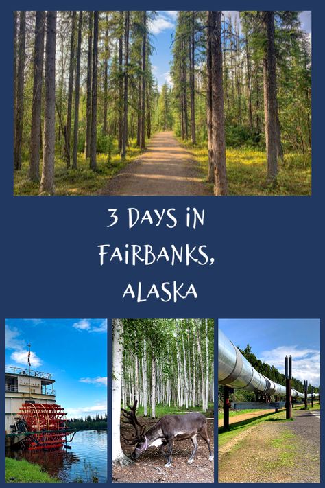 Fairbanks Alaska Things To Do In, Fairbanks Alaska Summer, Alaskan Summer, Alaskan Vacation, Alaska Summer, Alaska Road Trip, Alaska Trip, Alaska Vacation, Fairbanks Alaska