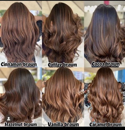 Hazelnut Hair Color, Hazelnut Hair, Brown Hair Looks, Brown Hair Inspo, Brunette Hair With Highlights, Long Hair Color, Brown Hair Balayage, Haircuts Straight Hair, Hair Color Highlights