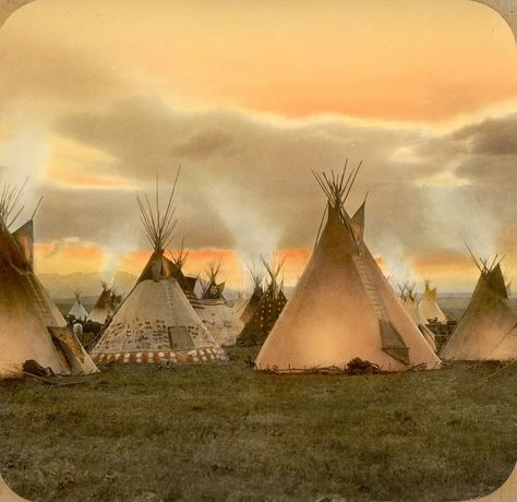 Blackfoot Indian, Wounded Knee, Native American Paintings, Native American Images, Indian Pictures, Wilde Westen, Native American Pictures, Native American Artwork, Native American Photos