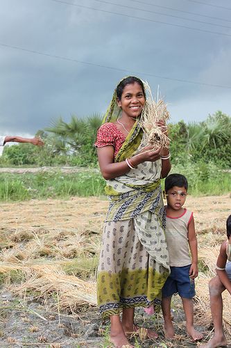 A woman from West Bengal in India harvesting her crops. In India, 74.5 percent of rural women are agricultural workers but only 9.3 percent own the land.  (Photo: UN Women/Ashutosh Negi) Indian Farming, Bengali Woman, Indian Agriculture, Un Women, Mother Baby Photography, Rural Women, Celebrating Women, Female Farmer, Village Girl