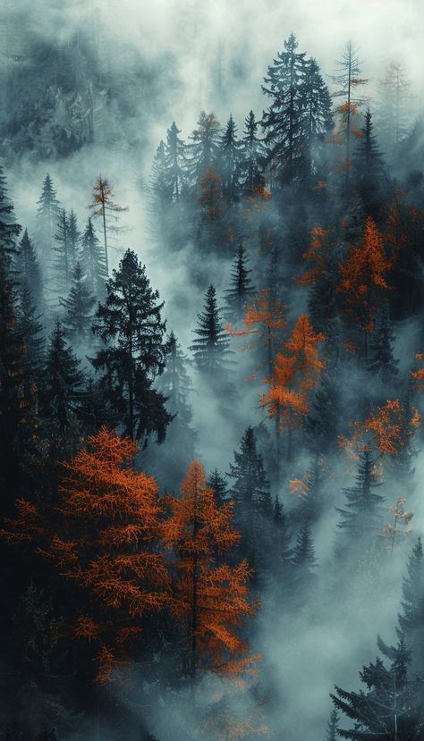 Autumn In The Mountains, Autumn Forest Photography, Fall Scenery Wallpaper, Autumn Forest Aesthetic, Forest Iphone Wallpaper, Fall Phone Backgrounds, Wallpaper Backgrounds Fall, Iphone And Laptop, Autumn Wallpaper Hd