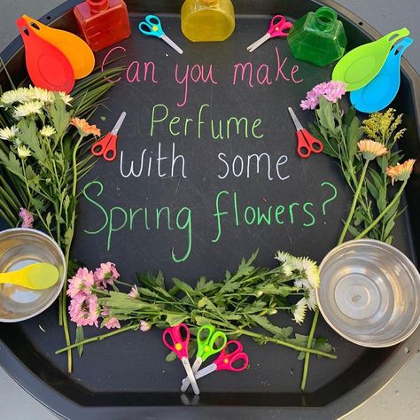 inspiringplayearlyears on Instagram: “SPRING TUFF TRAY INSPO🌻 We have so many childhood memories making perfume from flowers in the garden and this activity did not disappoint.…” Preschool Classroom Toy Set Up, In The Garden Eyfs Activities, Early Years Garden Activities, Summer Term Eyfs Activities, Fairy Garden Tuff Tray, Garden Activities Eyfs, Spring Activity Ideas, Plant Tuff Tray, Tuff Tray Provocations