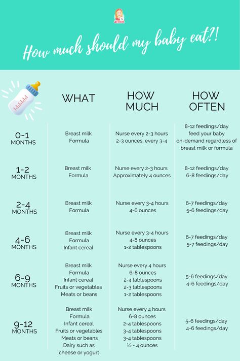 How many ounces should your baby take? Do you wake a sleeping baby to eat? Why do they seem hungry all the time? When you can give your baby solid food? Whether you’re a first-time parent or a seasoned caregiver, figuring out why your baby is crying. Fortunately, paying attention to your baby’s daily feeding schedule can help. By following a feeding schedule, you might be able to more easily tell whether the baby is pooped or tired instead. Check the schedule in the article. Newborn Food Intake, How Often Do Newborns Eat, Infant Eating Schedule, Feeding Schedule With Solids, How Much Should Newborns Eat, Bottle Feeding Schedule For 3 Month Old, One Month Feeding Schedule, One Month Old Feeding Schedule, Newborn Feeding Schedule Formula