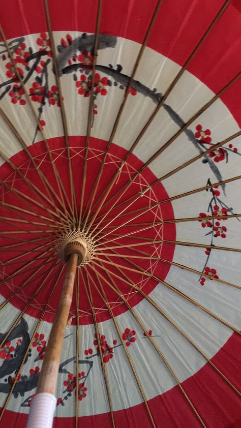 Wagasa Umbrella, China Umbrella, Japan Umbrella, Taiwanese Wedding, Japan Party, Asian Umbrella, Japanese Parasol, Japanese Restaurant Interior, Chinese Umbrella