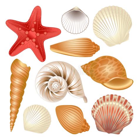 Starfish Clipart, Seashell Clipart, Mermaid Cake Topper, Shell Art, Stock Photography Free, Sea And Ocean, Sea Animals, Watercolor Illustration, Icon Set