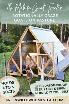 How To Set Up A Goat Pen, Simple Goat Shelter, Goat And Chicken Pen Ideas, Goat Structures, Goat Shelter Diy, Farm Shelter, Goat Barn Plans, Pygmy Goat Care, Goat Tractor