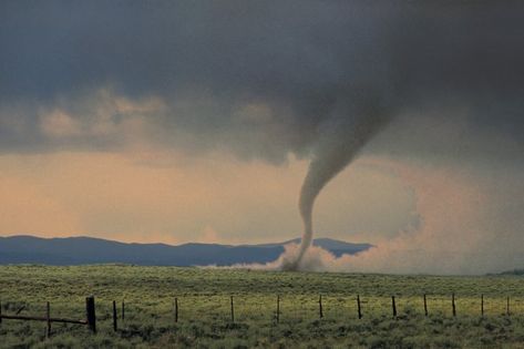 A diorama provides a simple way to model a snapshot of people, places or weather conditions. Shoe boxes are commonly used for creating dioramas -- they allow you to view a scene from a front angle and sometimes from the sides. If you have a project concerning tornadoes, do not simply create the shape of a tornado. Shoebox Diorama, Tornado Season, Tornado Alley, Weather Storm, Wild Weather, Travel Oklahoma, The Wonderful Wizard Of Oz, Safe Room, Shoe Boxes