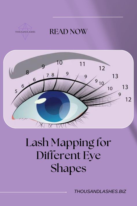 Lash Map Small Eyes, Lash Mapping For Round Eyes, Kitten Eyelash Extensions Mapping, Lash Map Round Eyes, Lash Map For Round Eyes, Lash Extensions Sets, Eyelash Extension Map, Almond Eye Lash Map, Wispy Set Lash Map