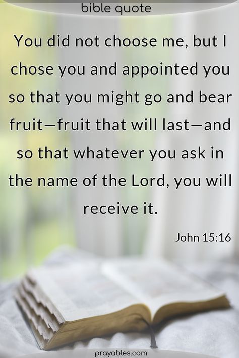 John 15:16 You did not choose me, but I chose you and appointed you so that you might go and bear fruit—fruit that will last—and so that whatever you ask in the name of the Lord, you will receive it. Great Bible quote about being Chosen by God. God Is Risen, John 15:16 I Chose You, John 3:16-17, John 15 16, John 7:37-38, John 8:31-32, Bible John, John 14:26-27, Choose Quotes