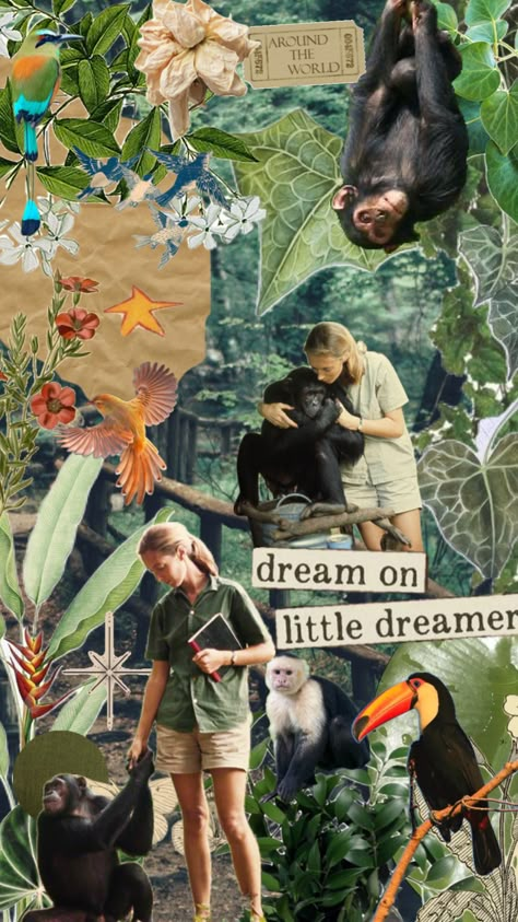 Jane Goodall Aesthetic, Zoology Aesthetic Wallpaper, Wildlife Conservation Aesthetic, Wildlife Biology Aesthetic, Wildlife Veterinarian Aesthetic, Wildlife Biologist Aesthetic, Zoology Aesthetic, Ecology Aesthetic, Wildlife Vet